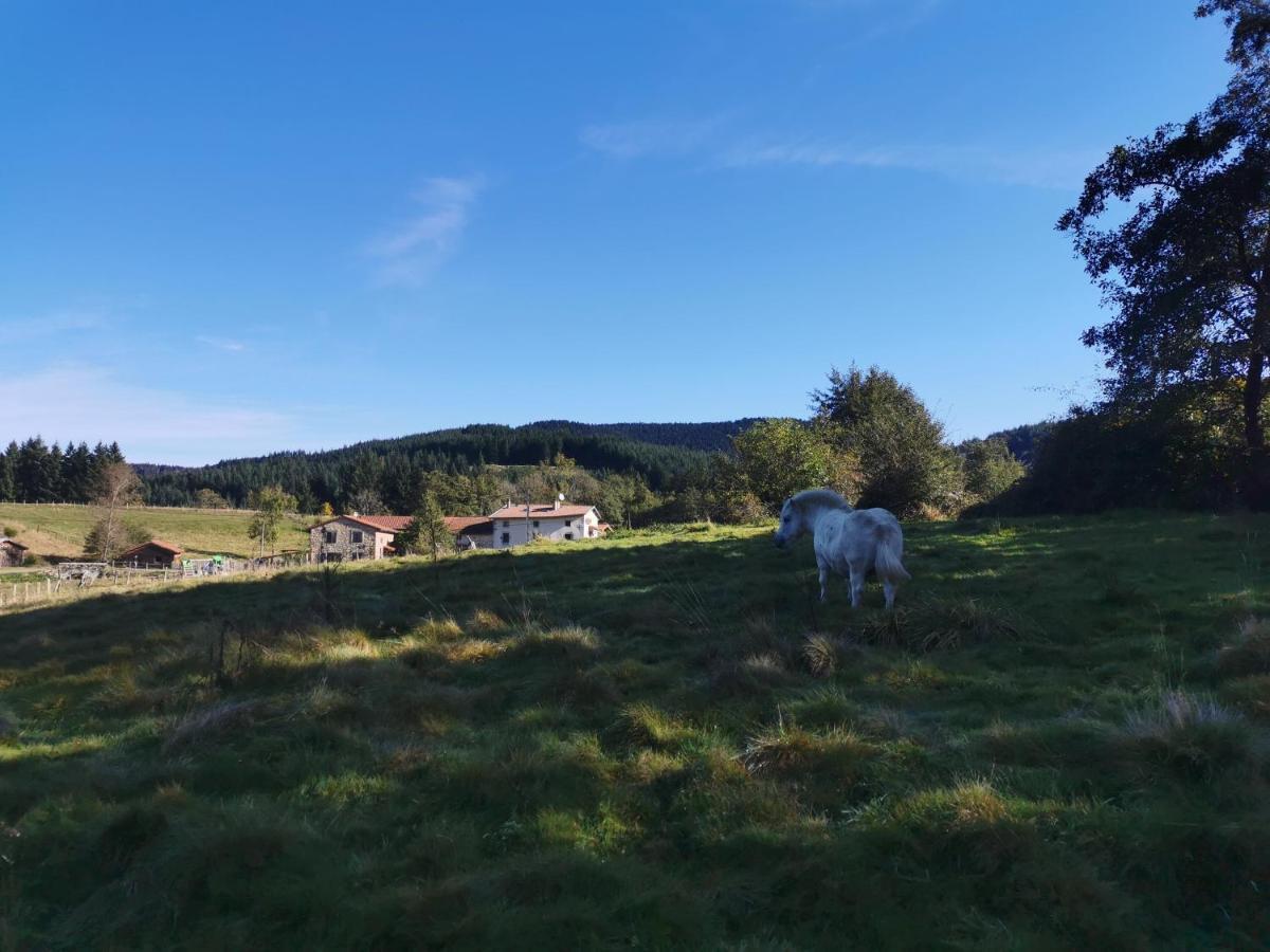 Le Moulin De La Fortie, Maison D'Hotes Bed and Breakfast Viscomtat Εξωτερικό φωτογραφία