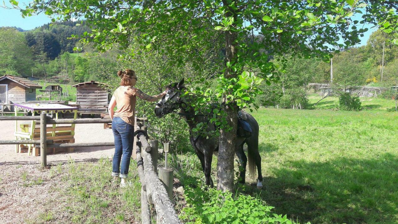 Le Moulin De La Fortie, Maison D'Hotes Bed and Breakfast Viscomtat Εξωτερικό φωτογραφία